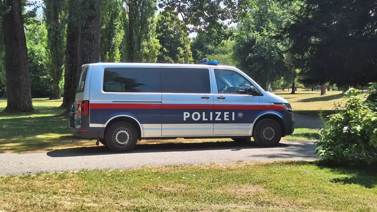 Bild auf 5min.at zeigt Polizeiautos in einem Park.