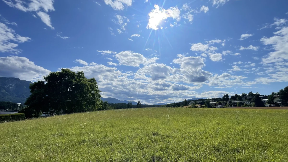 Das Bild auf 5min.at zeigt eine Wiese bei Sonnenschein.