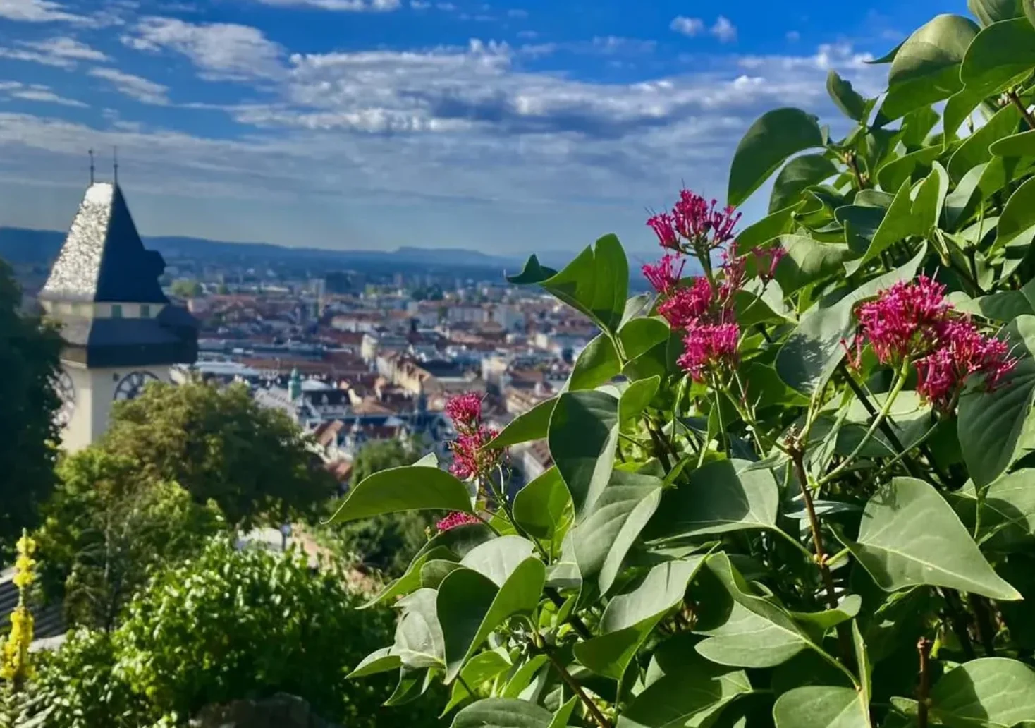 Bild auf 5min.at zeigt Graz.
