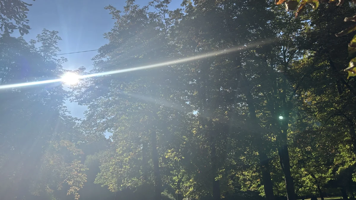 Bild auf 5minat zeigt einen Spot in der Grazer Stadt.