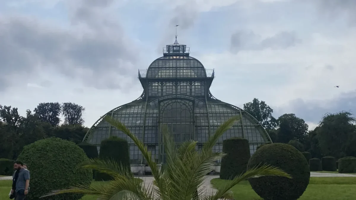 Bild auf 5min.at zeigt das Palmenhaus in Schönbrunn.