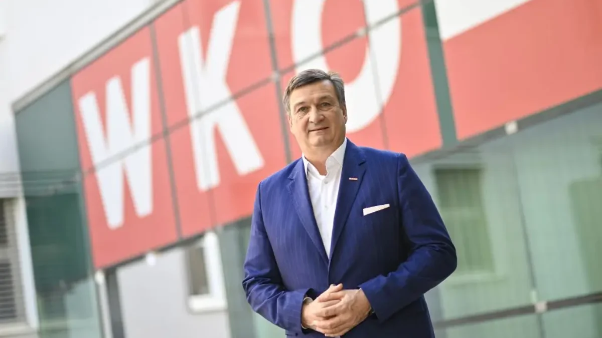 Das Bild auf 5min.at zeigt WK-Präsident Jürgen Mandl.