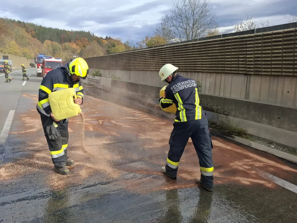 Ein Bild auf 5min.at zeigt, wie Feuerwehrleute Sand auf ausgetretene Betriebsmittel streuen.