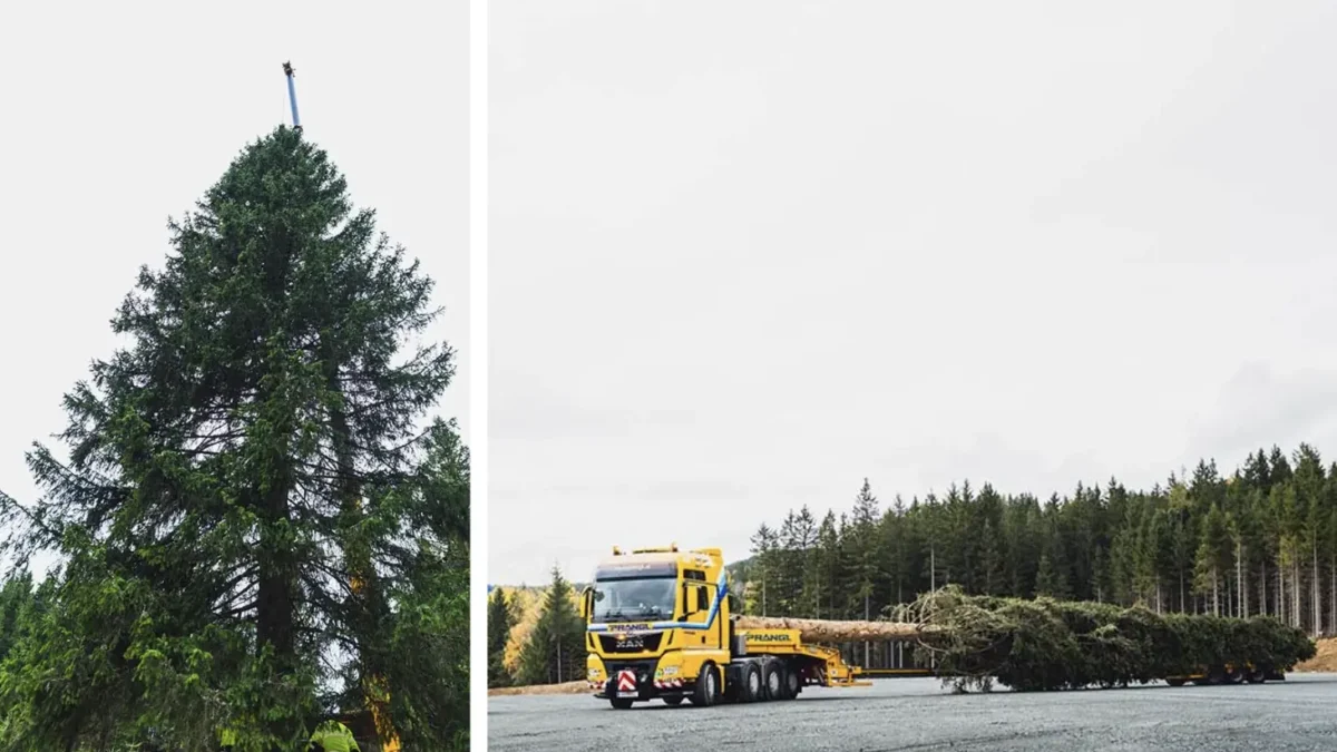 Foto auf 5min.at zeigt den Grazer Christbaum 2025