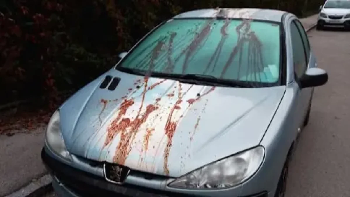 Ein Bild auf 5min.at zeigt rote Farbe, die über ein Auto gekippt wurde.