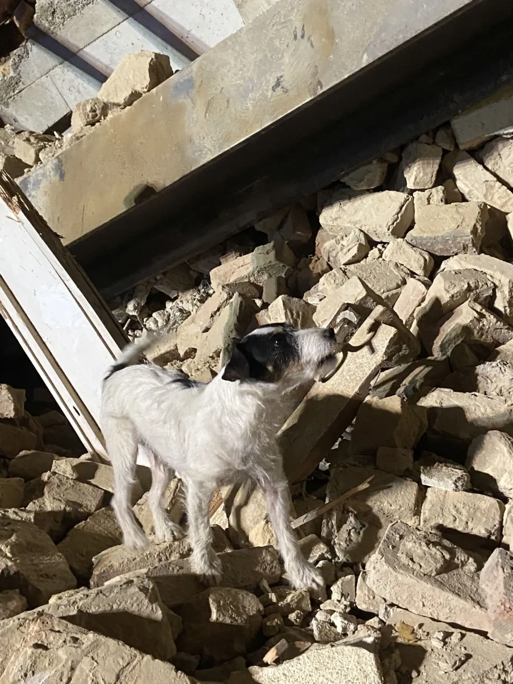 Auf dem Foto von 5 Minuten ist ein eingst&uuml;rztes Haus in Wien-D&ouml;bling zu sehen.