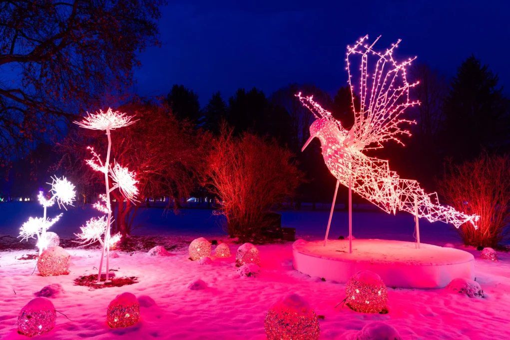 Das Bild auf 5min.at zeigt den Advent in der Erlebnisregion Graz.