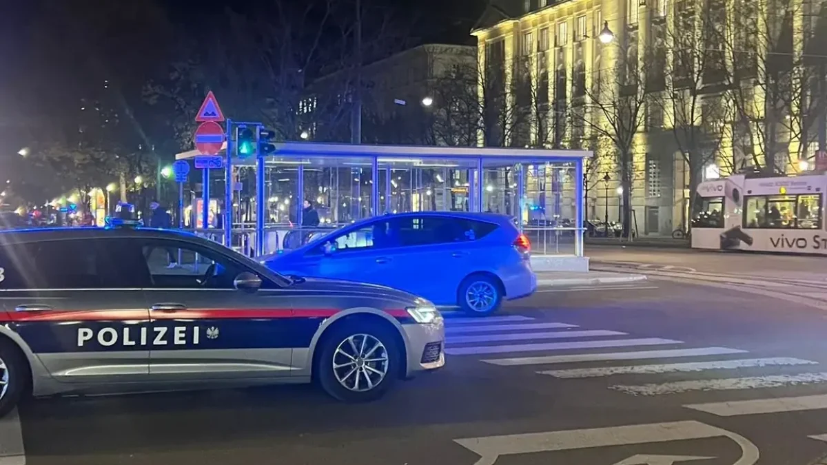 Das Bild auf 5min.at zeigt einen Polizeieinsatz in Wien.