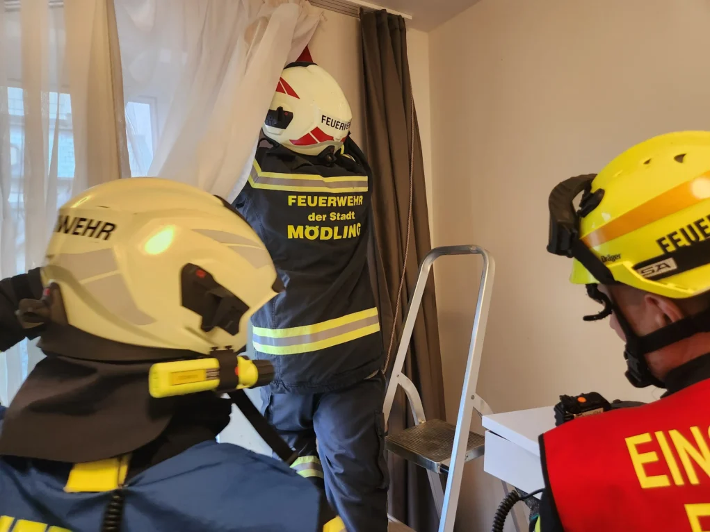 Das Bild auf 5min.at zeigt eine Fledermaus in einem Haus in Mödling.