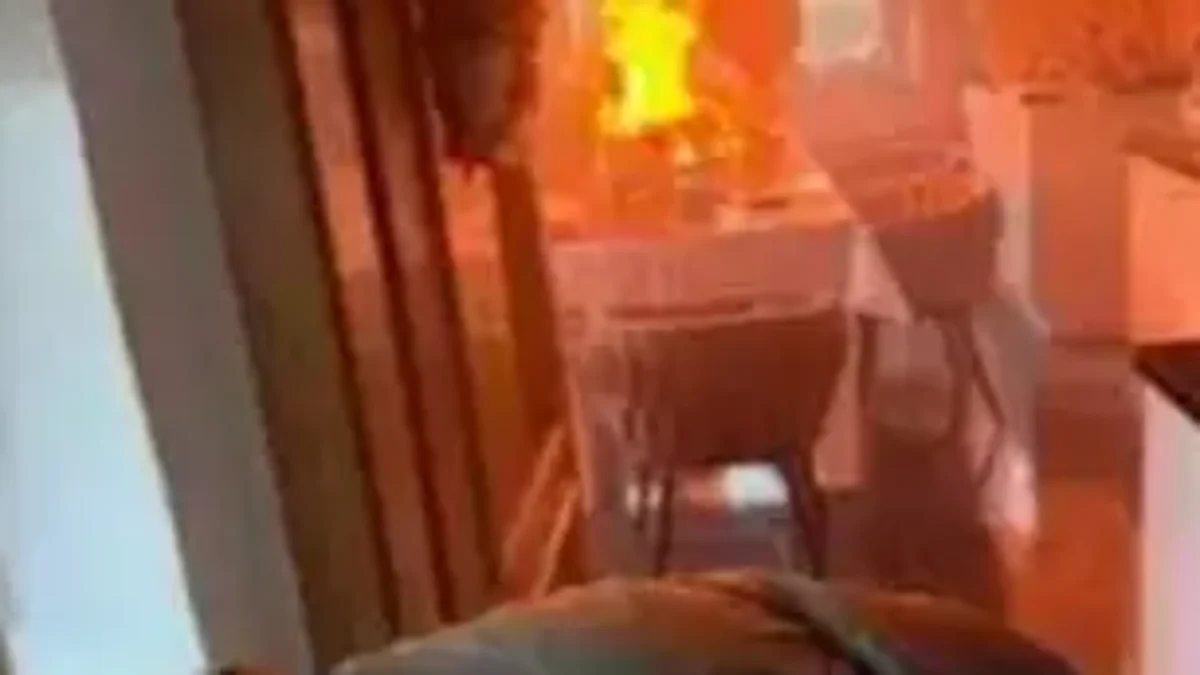 Das Bild auf 5min.at zeigt einen Küchenbrand.