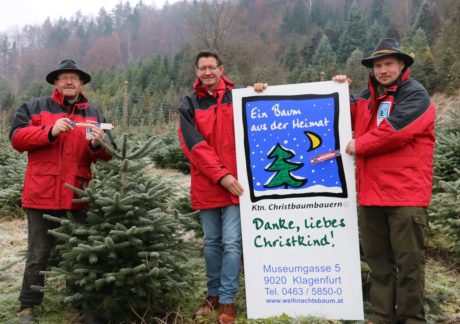 Das Foto auf www.5min.at zeigt einen Christbaum.