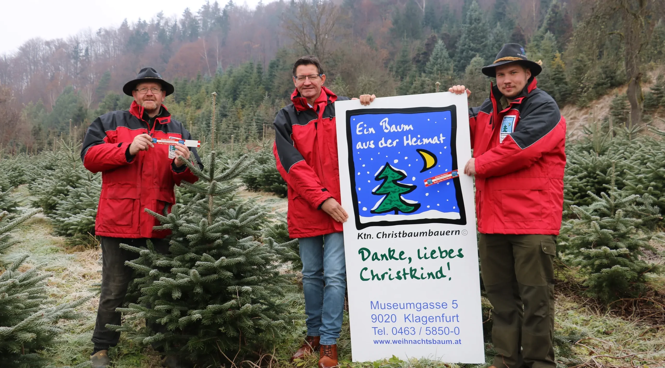 Das Foto auf www.5min.at zeigt einen Christbaum.