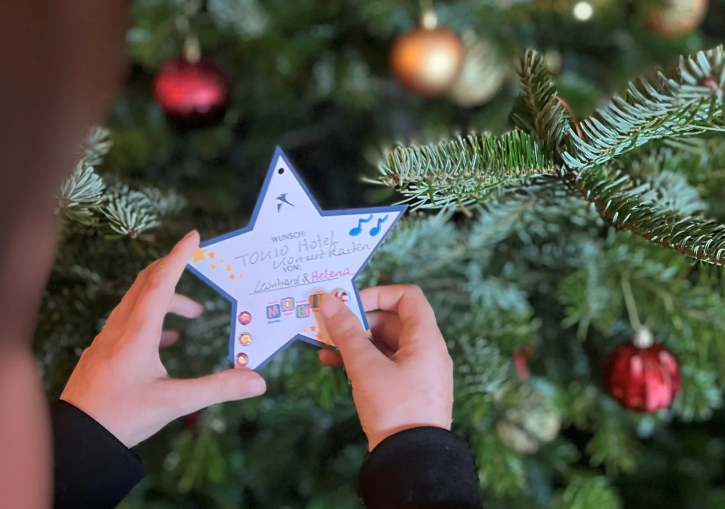 Das Bild auf 5min.at zeigt einen Wunschbaum im Schlosshotel Velden.