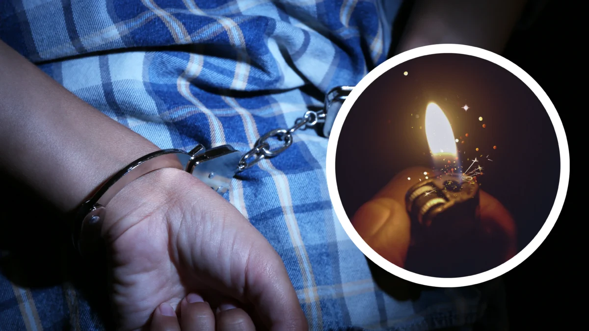 Das Bild auf 5min.at zeigt eine Festnahme wegen Brandstiftung.