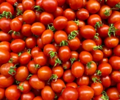 Foto auf 5min.at zeigt Cherrytomaten.