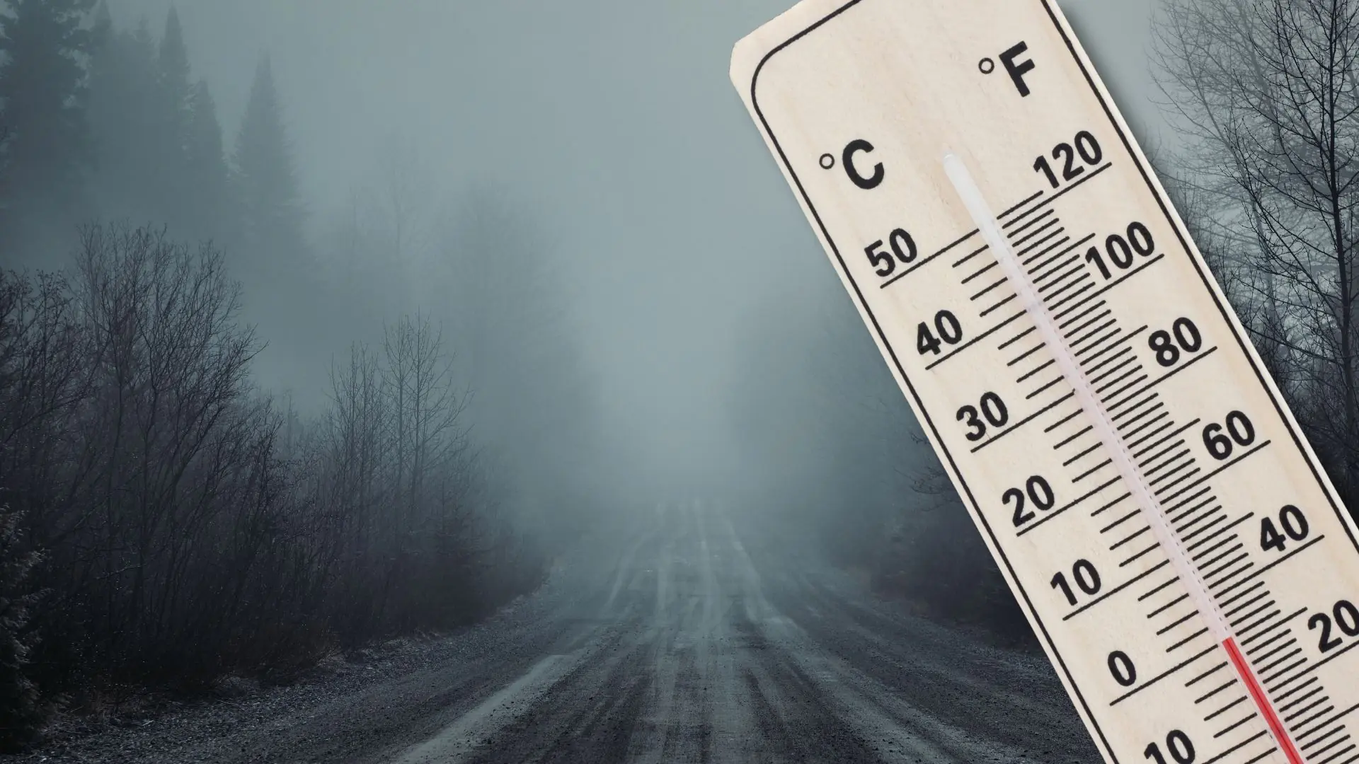 Eine Bildmontage auf 5min.at zeigt eine neblige Straße im Wald bei Nacht sowie ein Thermometer.