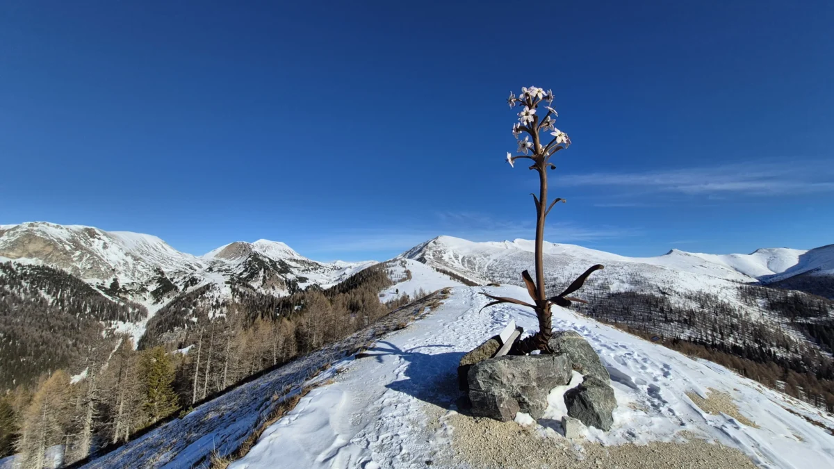 Ein Bild auf 5min.at zeigt den winterlichen Ausblick auf die Berglandschaft rund um den Stonachnock in St. Oswald. Der Himmel ist strahlend blau.