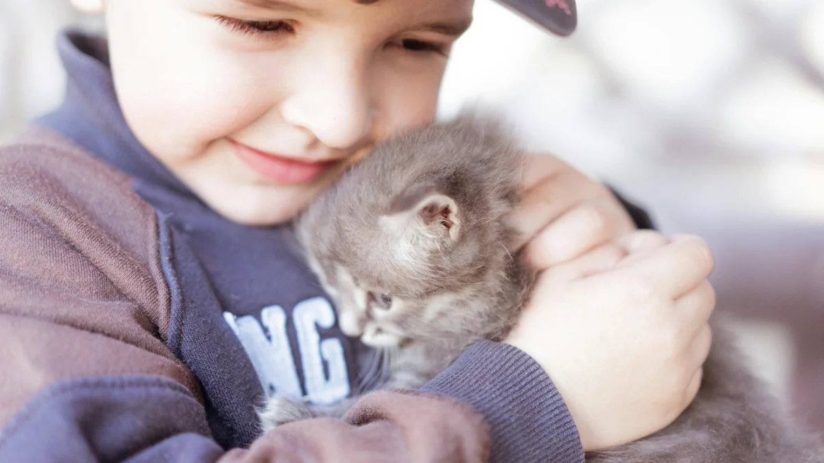 Foto auf 5min.at zeigt einen Jungen mit einem Katzenbaby.