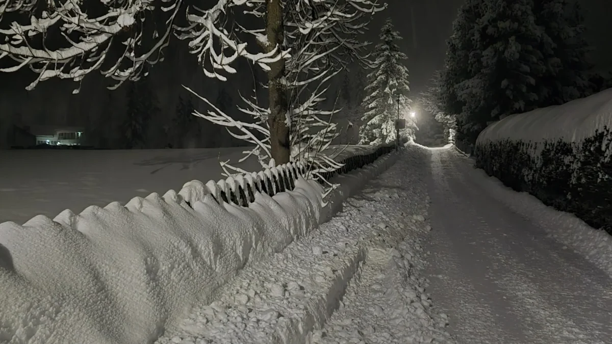 Das Bild auf 5min.at zeigt eine verschneite Straße.