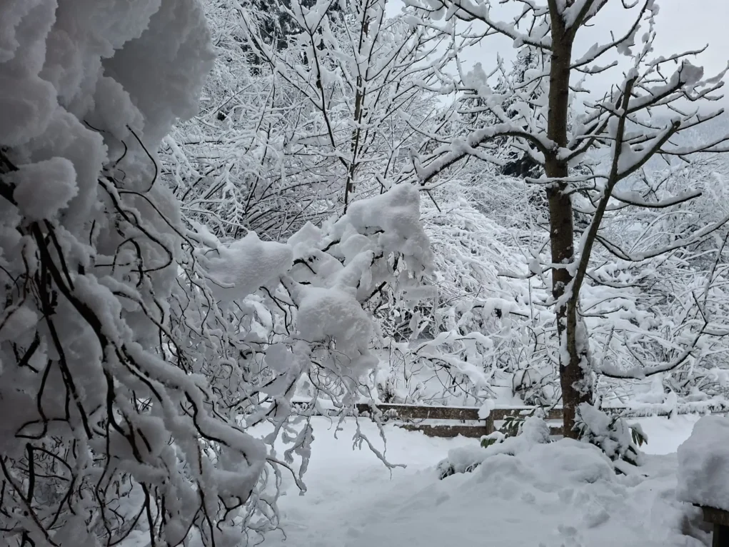 Das Bild auf 5min.at zeigt Schnee in Kirchbach im Gailtal.