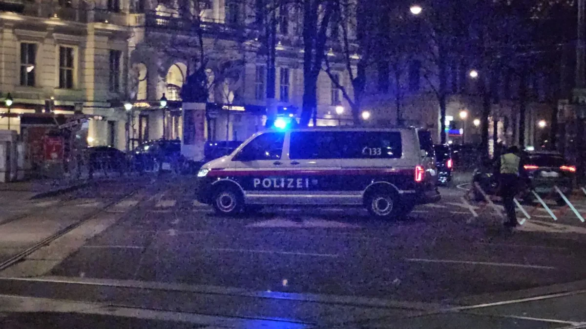 Foto in Beitrag von 5min.at zeigt ein Polizeiauto mit Blaulicht in Wien.