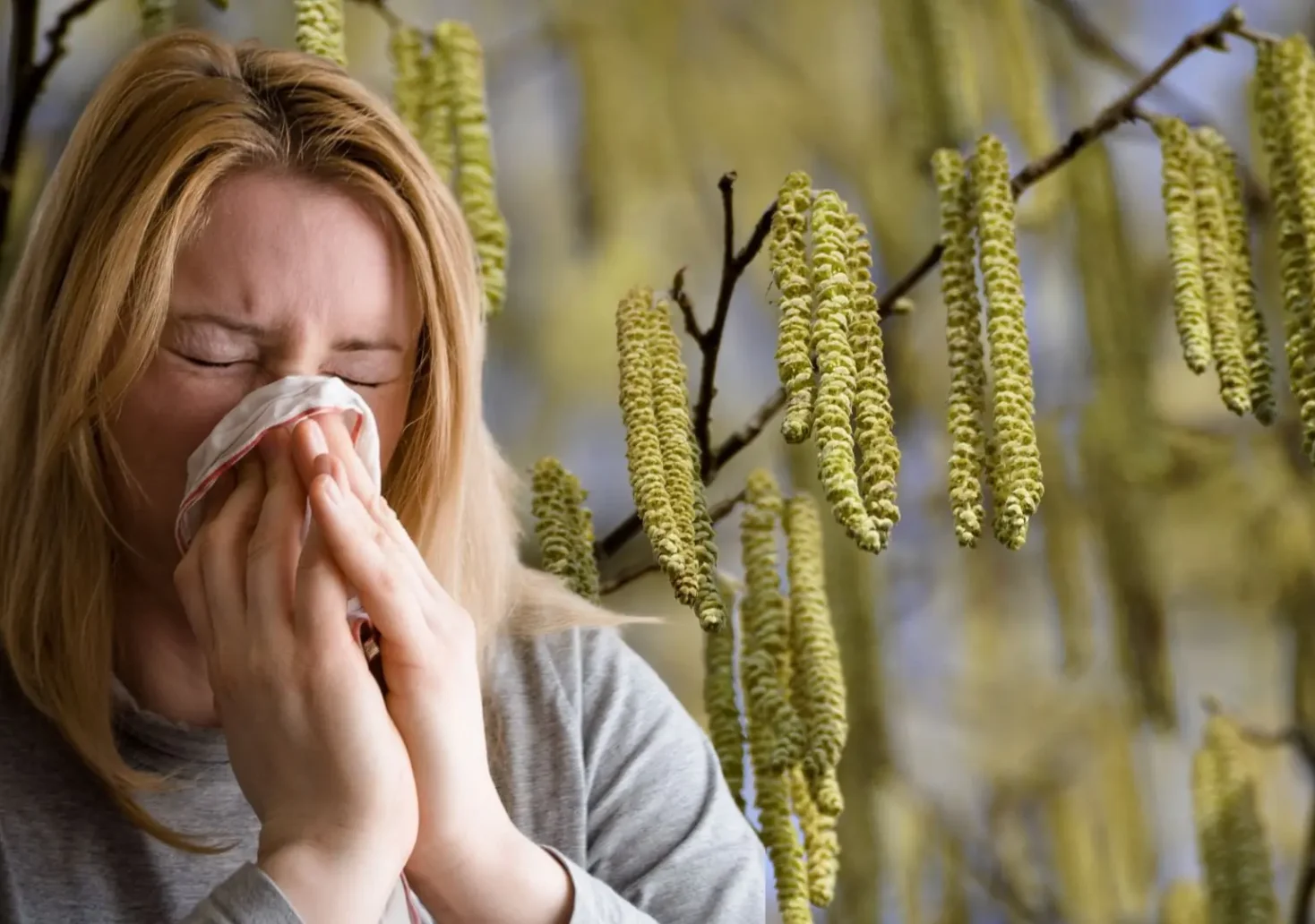 Eine Bildmontage auf 5min.at zeigt eine blühende Hasel und eine Frau, die niest.