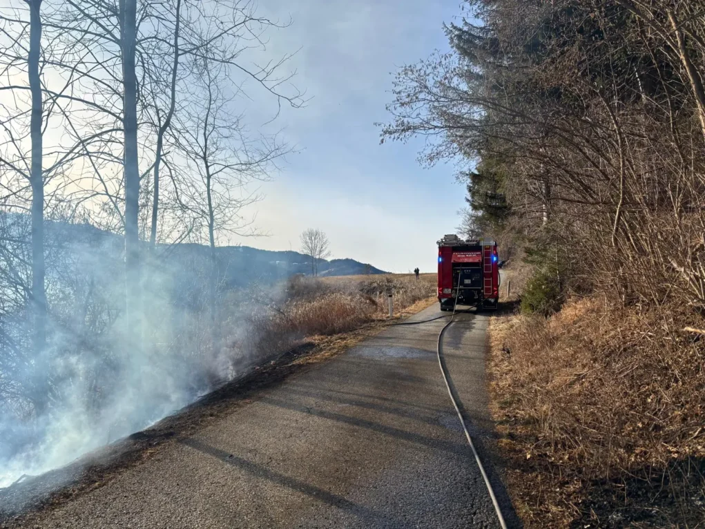 Das Bild auf 5min.at zeigt Feuerwehren im Einsatz bei einem Wiesenbrand.
