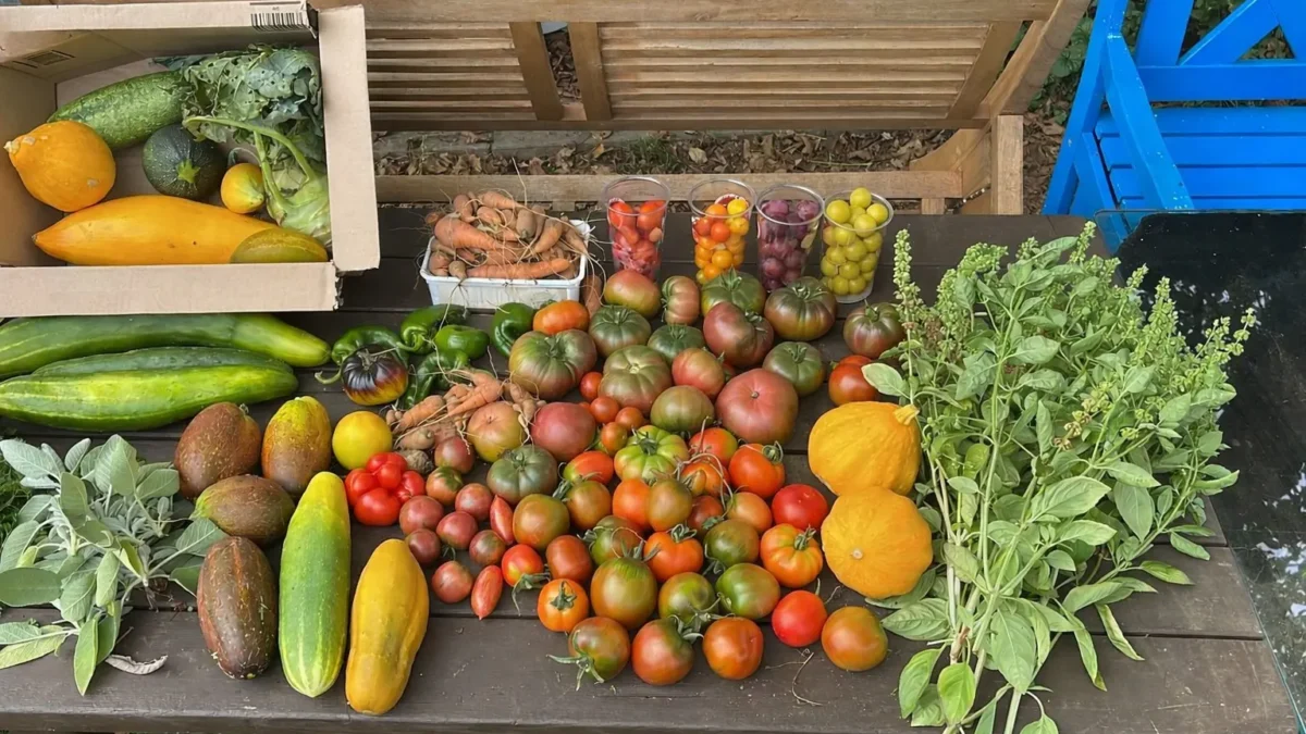 Das Bild auf 5min.at zeigt Gemüse.