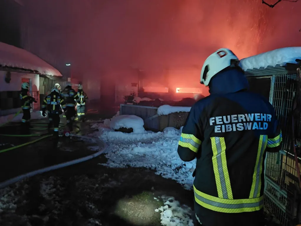 Foto auf 5min.at zeigt einen Feuerwehreinsatz.