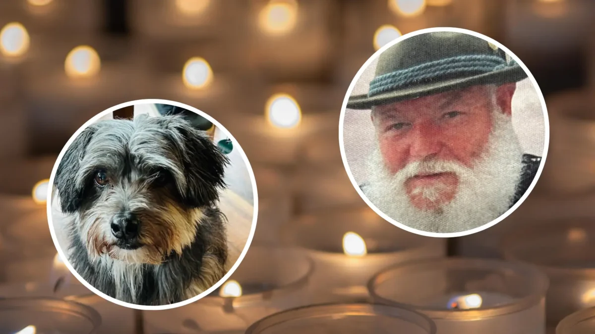 Das Bild auf 5min.at zeigt Micki und Günther Filzmaier