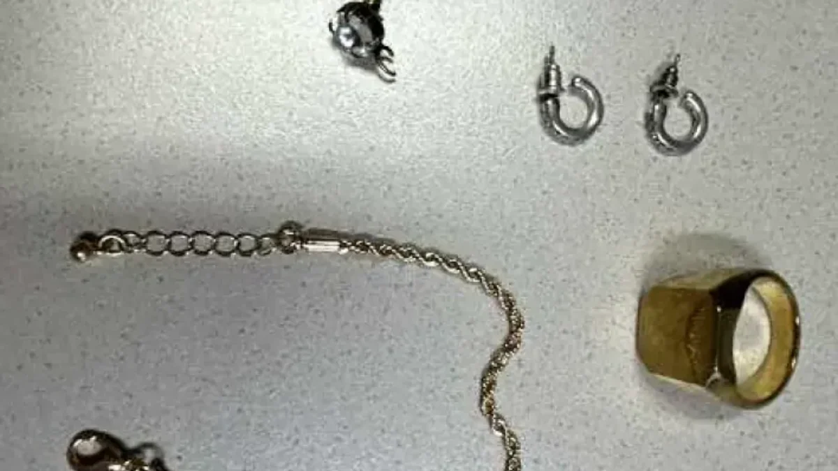 Bild auf 5min.at zeigt gefundenen Schmuck.