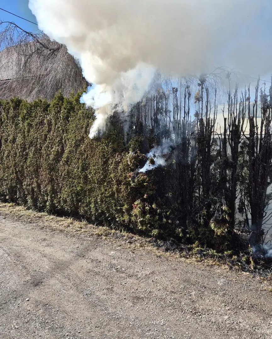 Das Bild zeigt einen Einsatz der Freiwilligen Feuerwehr Föderlach auf 5min.at.