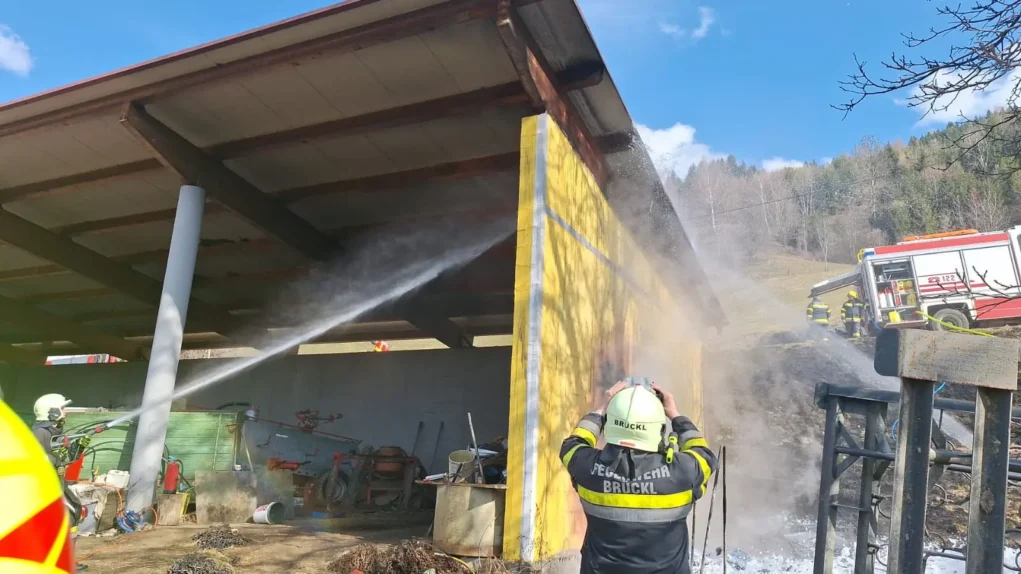 Ein Bild auf 5min.at zeigt den Feuerwehreinsatz in Hochfeistritz.