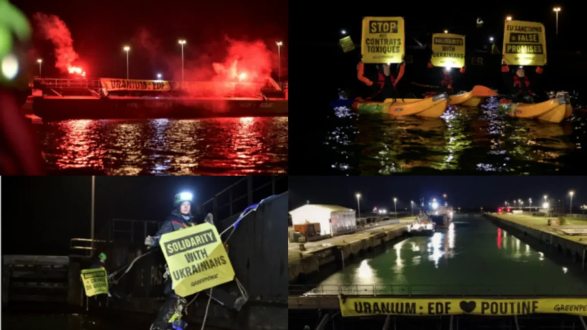 Bild auf 5min.at zeigt eine Demo von Greenpeace