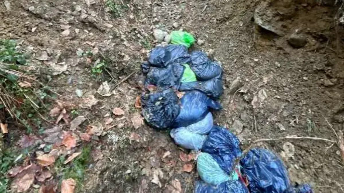 Das Bild auf 5min.at zeigt Müllsäcke in einem Waldstück in Arriach.