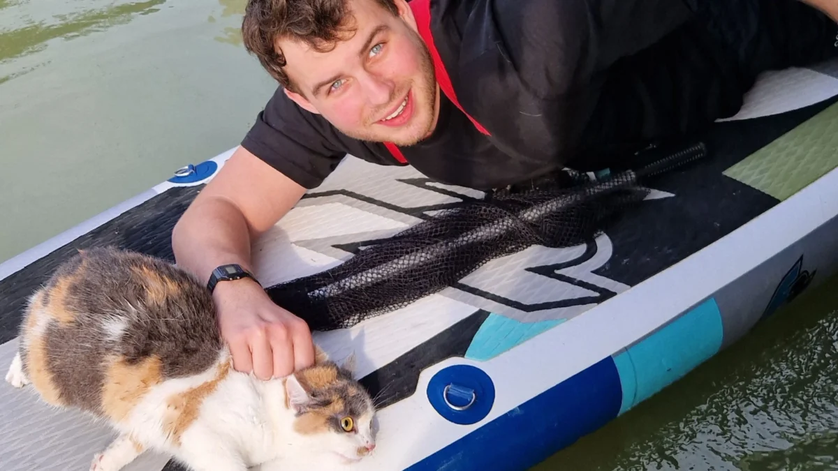 Das Bild auf 5min.at zeigt die FF Neusiedl am See bei einem Einsatz.