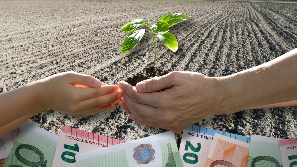 Das Bild auf 5min.at zeigt einen Acker der bepflanzt wird.