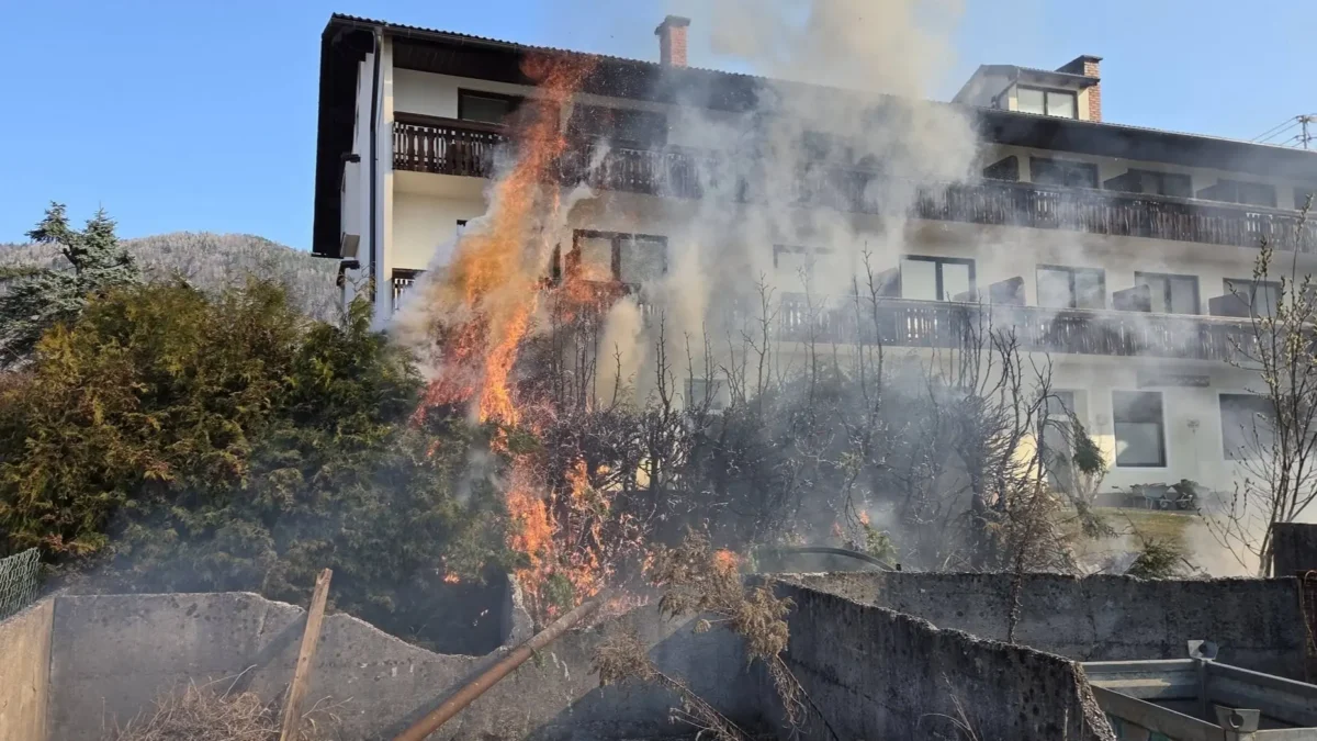 Ein Bild auf 5min.at zeigt die brennende Hecke in Ferlach.