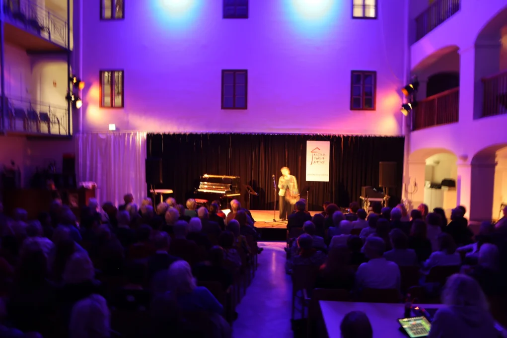 Das Bild zeigt eine musikalische Show auf 5min.at.