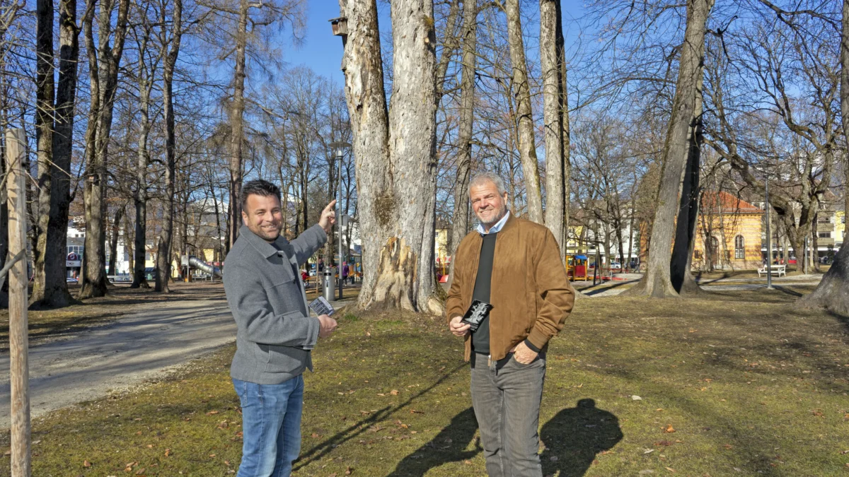 Das Bild auf 5min.at zeigt Bürgermeister Gerhard Köfer und Gärtnermeister Daniel Santner.