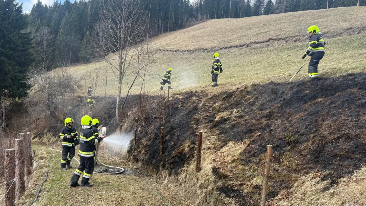 Foto auf 5min.at zeigt einen Wiesenbrand.