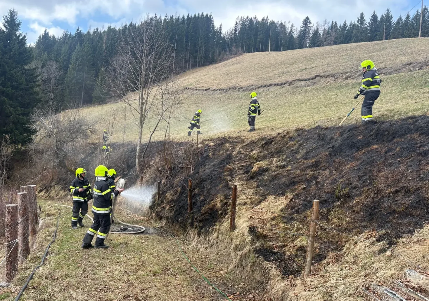 Foto auf 5min.at zeigt einen Wiesenbrand.