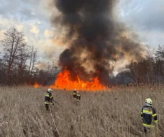 Das Bild auf 5min.at zeigt einen Schilfbrand.