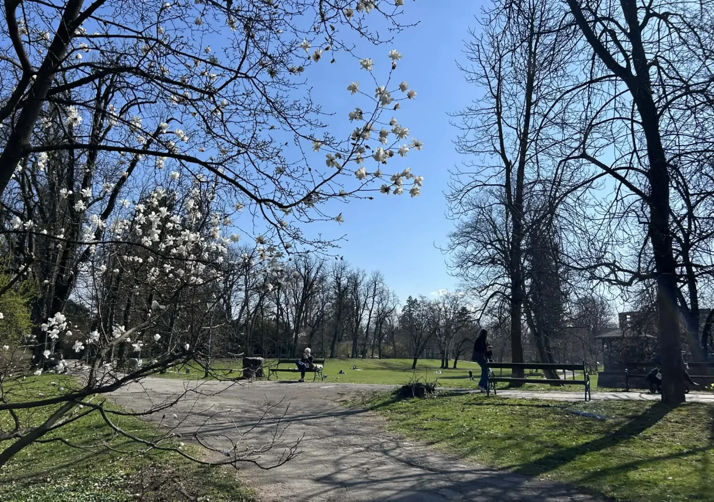 Bild auf 5min.at zeigt einen Park in Graz,