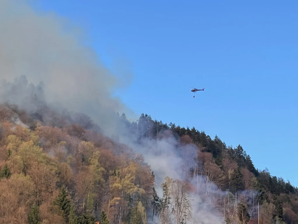 Foto auf 5min.at zeigt einen Brand auf der Taborhöhe.