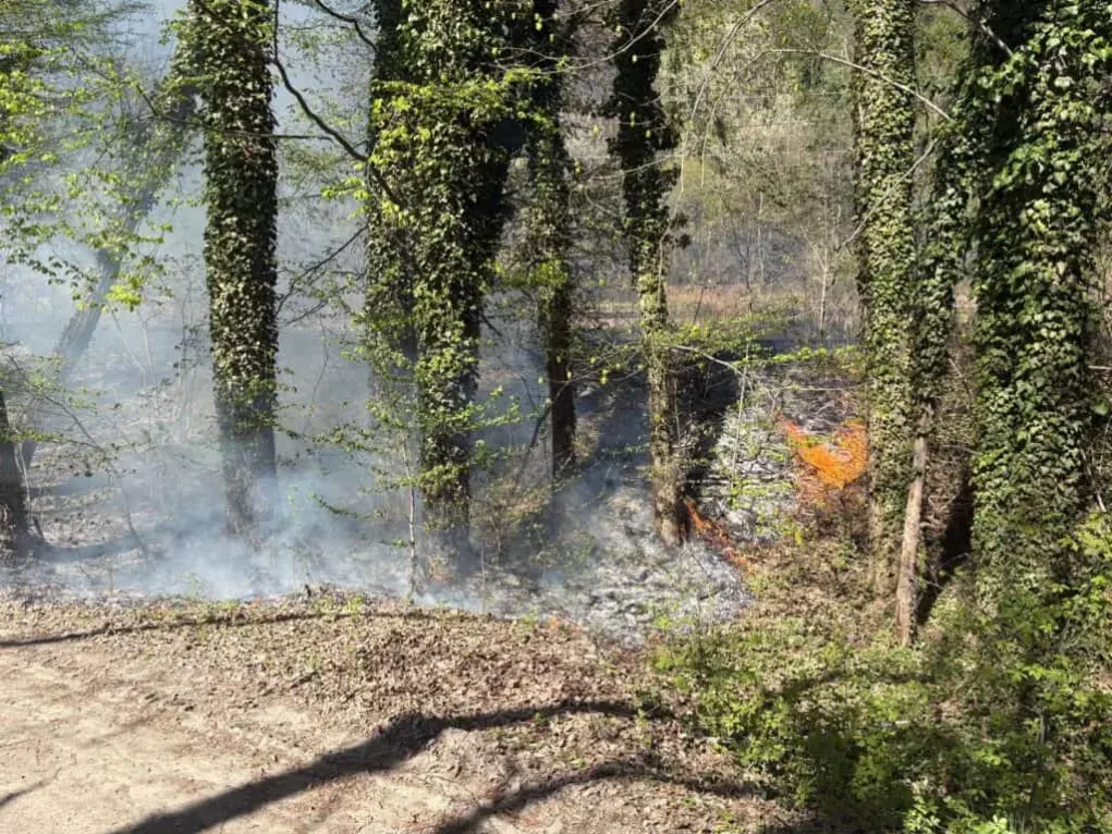 Foto auf 5min.at zeigt die Feuerwehr Deutschfeistritz bei einem Einsatz.