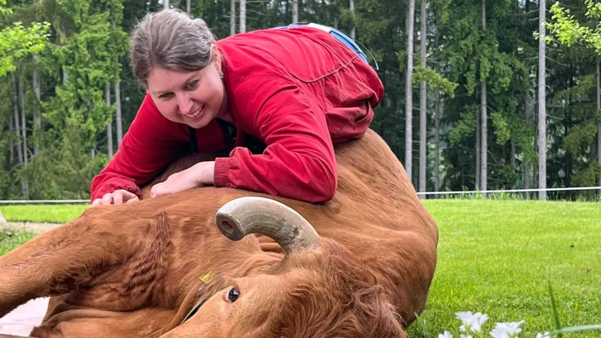 Das Bild auf 5min.at zeigt Steirerin Kerstin mit einer Kuh.