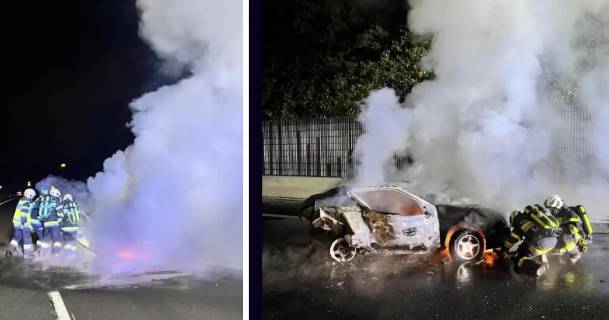 Bild auf 5min.at zeigt einen Fahrzeugbrand.
