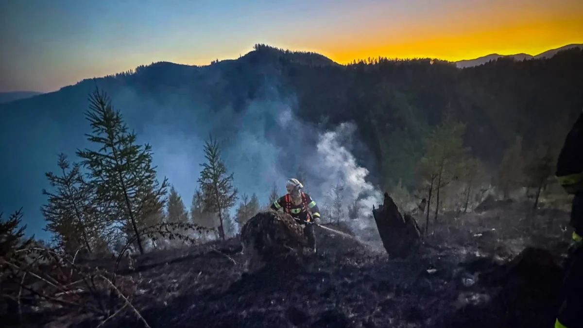 Foto auf 5min.at zeigt einen Waldbrand in Eisbach-Rein.