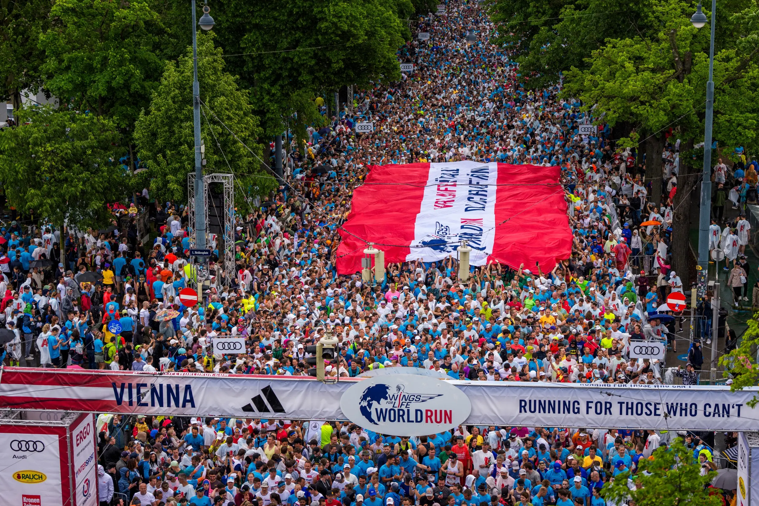 Bild auf 5min.at zeigt den Wings for Life World Run.